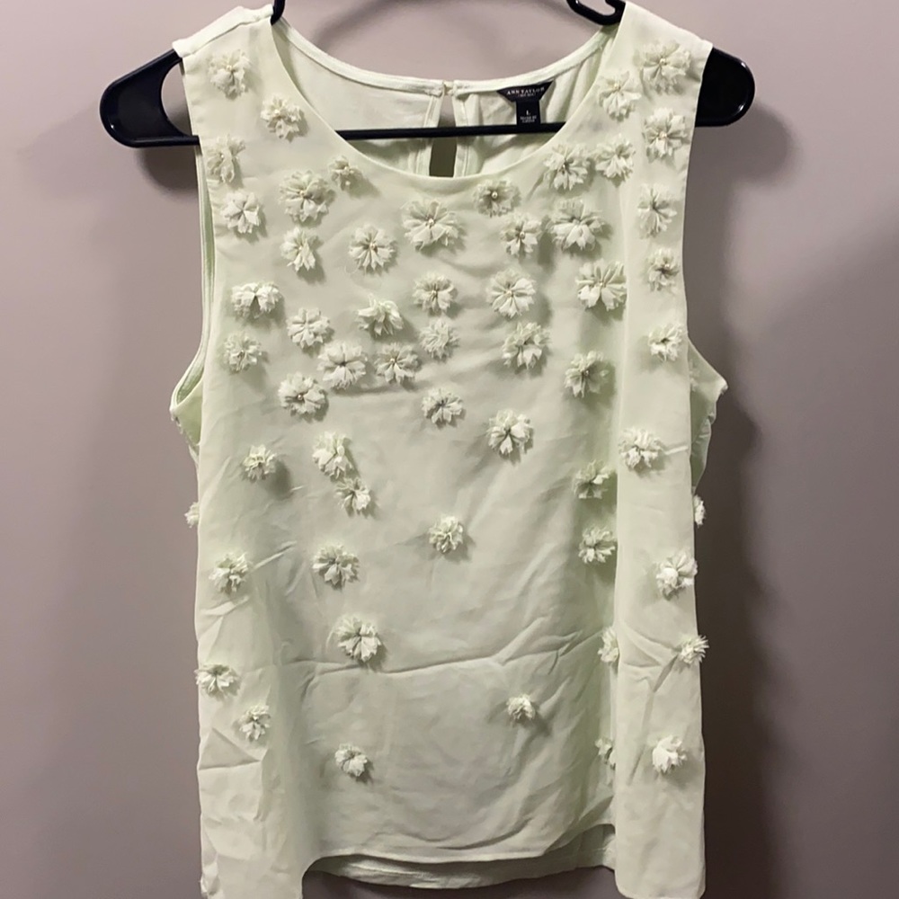 Ann Taylor Mint Green Tank